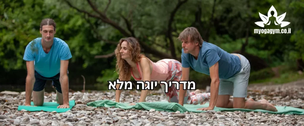 מדריך יוגה עם כל הטיפים והתנוחות לתרגול